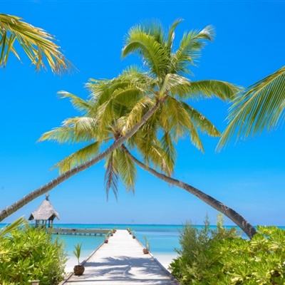 bat365中文官方网站(在线)